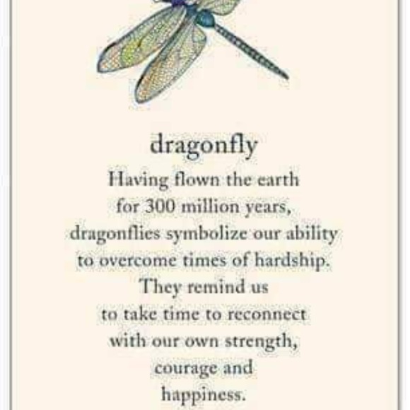 New! Dragonfly Rhinestone Brooch - Picture 7 of 8